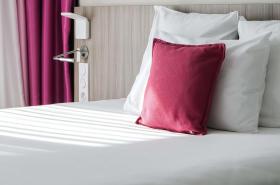 Mercure Toulouse Sud - photo 6