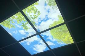 Hotel de Bordeaux - photo 6