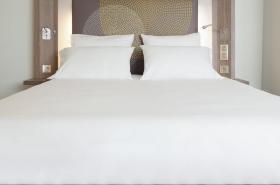 Novotel Toulouse Centre Wilson - photo 25