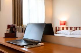 Ours Blanc Victor Hugo - photo 13