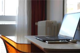 Ours Blanc Victor Hugo - photo 6