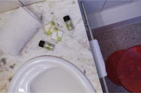 Ours Blanc Victor Hugo - photo 11