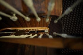 Hotel Albert 1er - photo 6