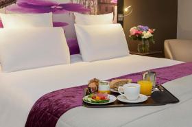 Mercure Toulouse Centre Wilson Capitole - photo 16