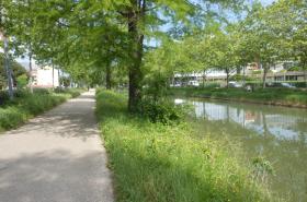 B&B HOTEL Toulouse Centre Canal du Midi - photo 7