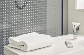 Hotel Mercure Toulouse Centre Compans - photo 17