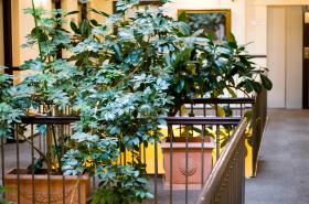 Grand Hôtel d'Orléans - photo 25